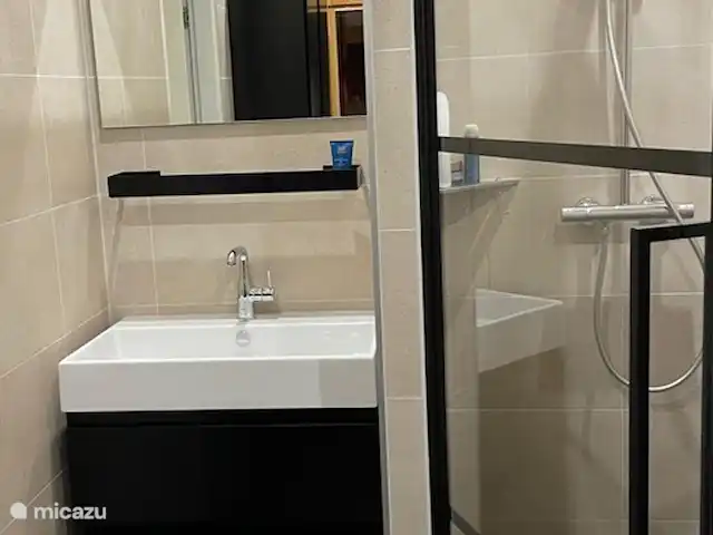 Location de Vacances Pays-Bas, Zélande, Kamperland, maison de vacances - Maison de vacances de luxe près de la plage Salle de bain et douche de la maison de vacances à Kamperland (Zélande, Pays-Bas)