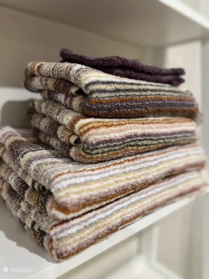 Ensuite bathroom belonging to bedroom 4 with shower, toilet and spacious sink unit and towel rack.