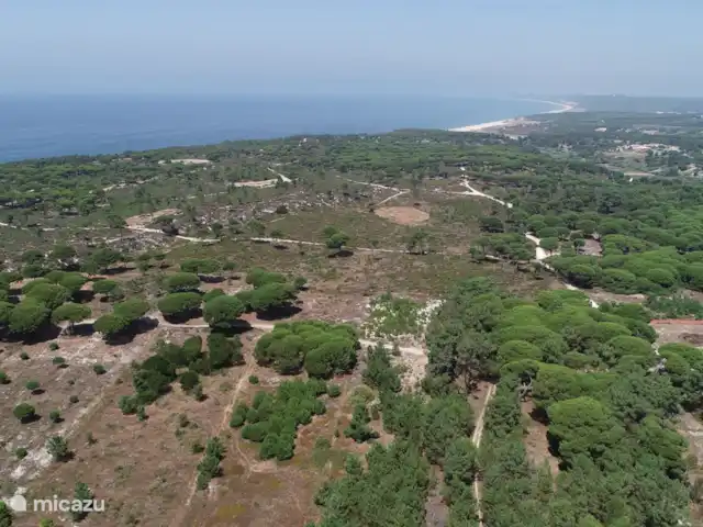 Villa Manuel | Portugal, Côte de Lisbonne, Sesimbra - villa lieu