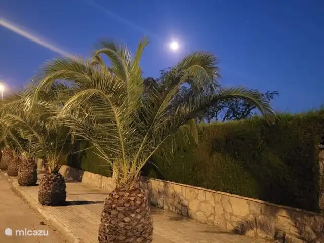 Villa Feliz Veracruz | Espagne, Costa Dorada, Miami Plage - villa Avenue Veracruz