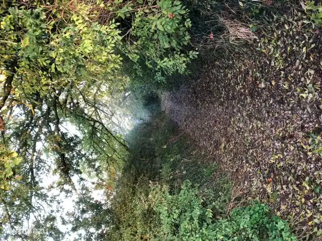 Cozy hiking trail to a protected nature reserve.