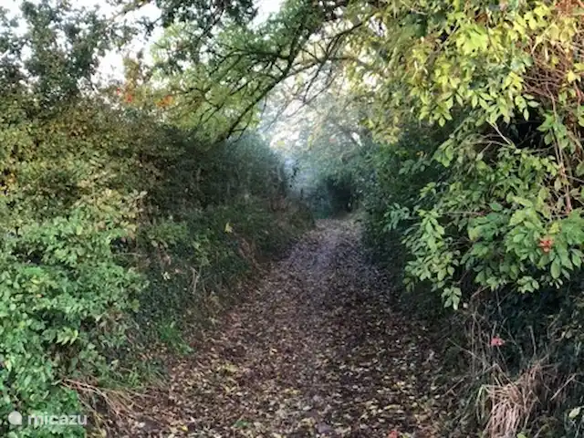 't Sjöpke | Pays-Bas, Limbourg, Margraten - maison de vacances Sentier de randonnée confortable vers une réserve naturelle protégée.