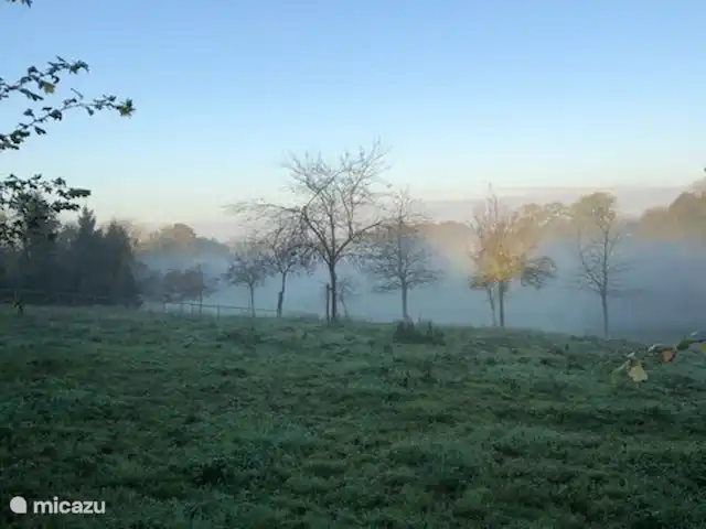 't Sjöpke | Pays-Bas, Limbourg, Margraten - maison de vacances Réveillez-vous et faites une marche rapide dans la rosée du matin.