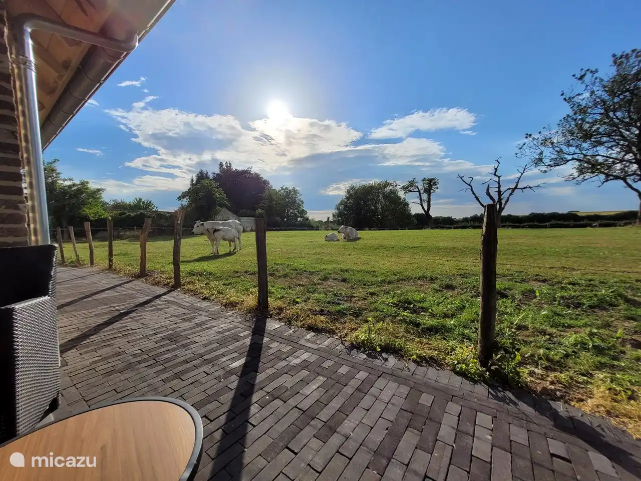 View of the meadow. In the summer, the cows come to graze the meadow with their calves. A picturesque view.  
