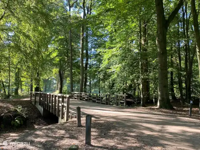Location de Vacances Pays-Bas, Gueldre, Winterswijk, chalet - Loge