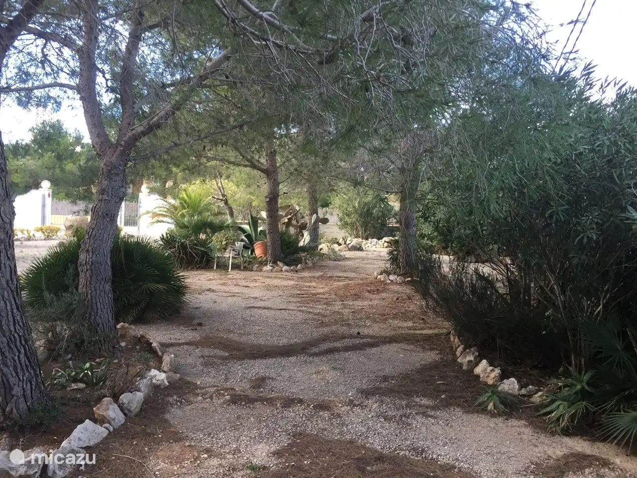 Nuestro lugar de jeu de boules.