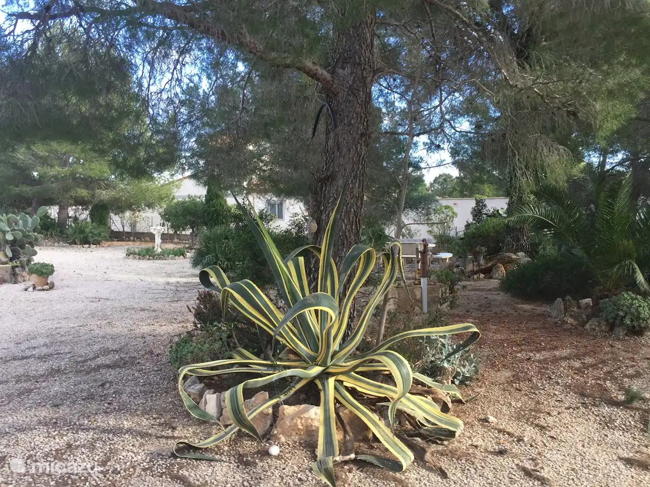 El jardín ofrece mucha sombra en verano.