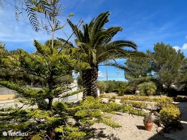 El jardín delantero.
