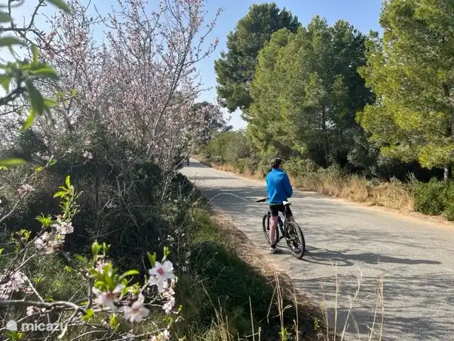 Desde Villa Familia puede pedalear durante muchos kilómetros en las inmediaciones entre los huertos, a través de los campos y a lo largo de la costa. El paisaje es muy variado.