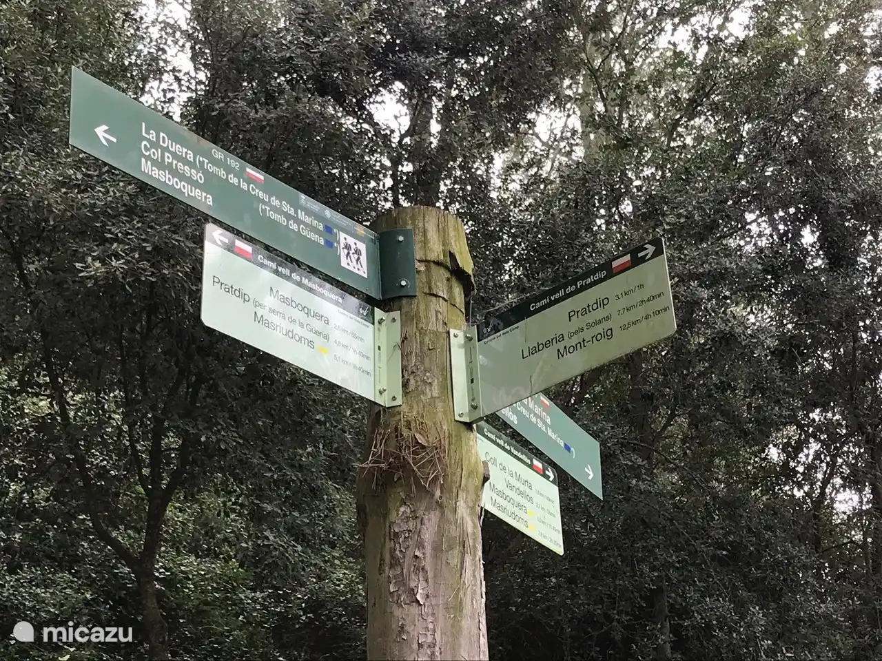 Hay rutas de senderismo muy bonitas en las montañas cercanas (Sierra del Mestral). La Ermita de Santa Marina es un punto ideal para iniciar o finalizar una ruta. Dispone de restaurante y merenderos para comer. Los lugareños llenan sus botellas de agua aquí con el agua limpia de las montañas.