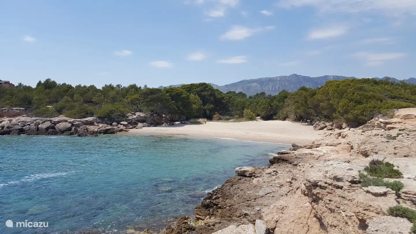 Al norte y al sur de L'Ametlla de Mar se encuentran hermosas calas de aguas transparentes y arena fina, como la playa de Calafat, Cala Calafató y Cala Lo Ribellet.