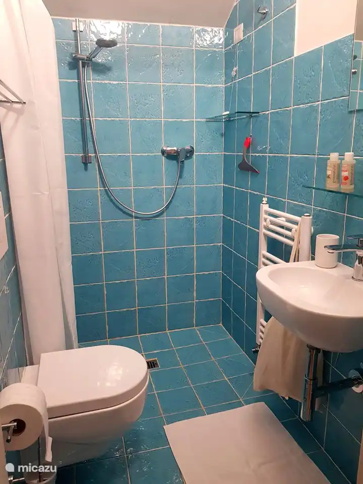 Second bathroom with walk-in shower, sink, toilet and hairdryer