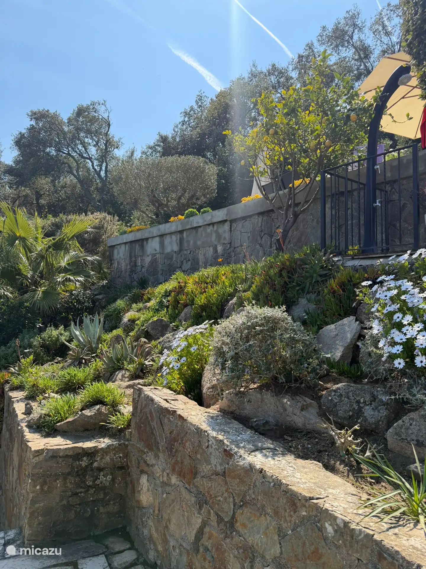 Een prachtige tuin die maandelijks onderhouden wordt door een Spaanse tuinarchitect