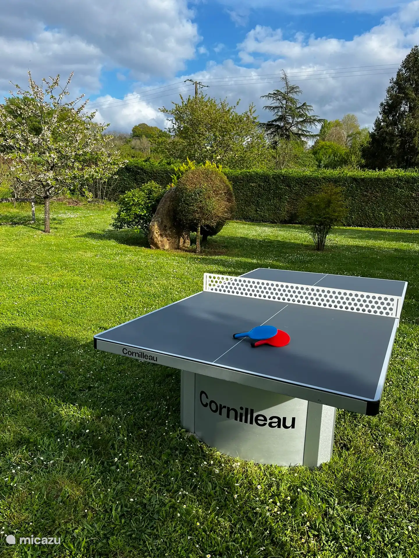 Der brandneue Zuwachs für Sportbegeisterte!