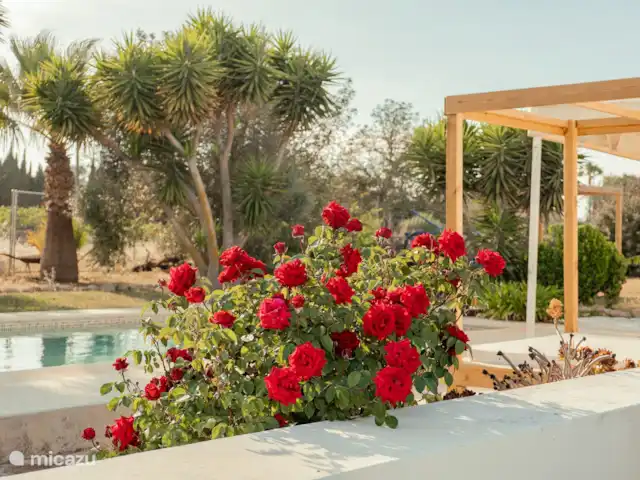 Casa Mariposa | Espagne, Ibiza, Sant Miquel de Balansat - finca Piscine
