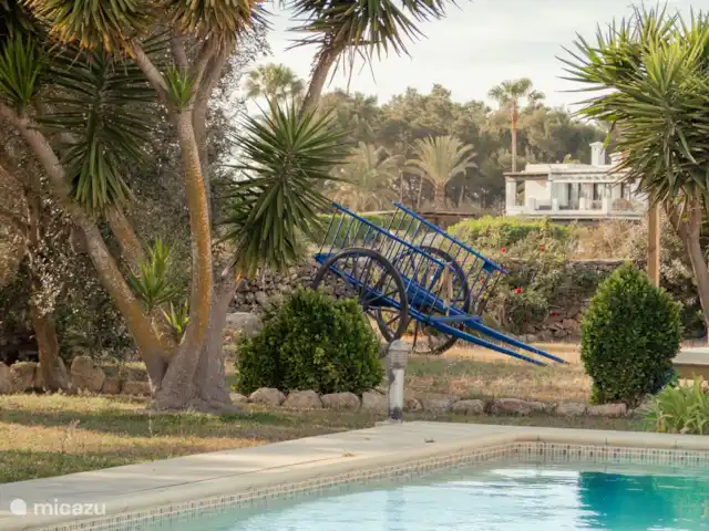 Casa Mariposa | Espagne, Ibiza, Sant Miquel de Balansat - finca Jardin