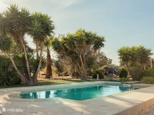 Casa Mariposa | Espagne, Ibiza, Sant Miquel de Balansat - finca Piscine