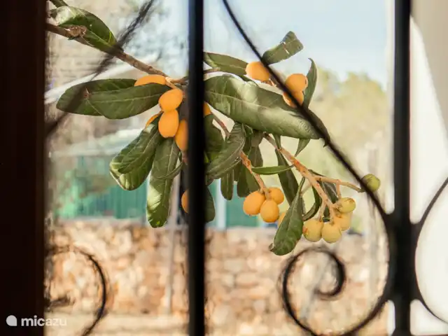 Casa Mariposa | Espagne, Ibiza, Sant Miquel de Balansat - finca