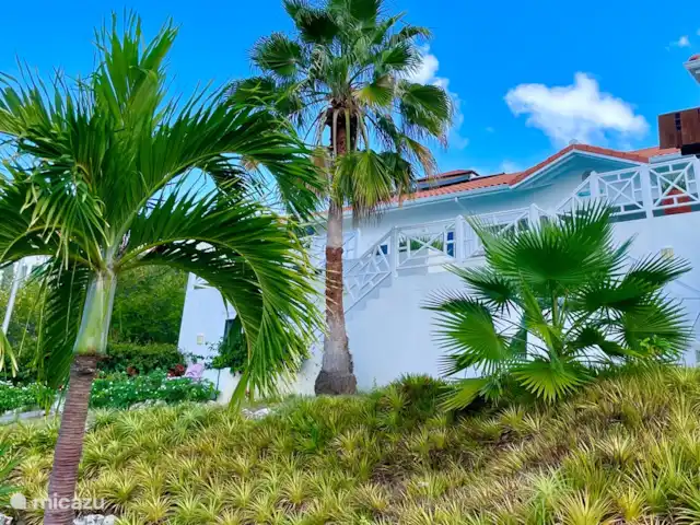 Villa Happy View huren in Curaçao, Banda Abou (west), Coral Estate, Rif St.Marie - villa Tropische tuin