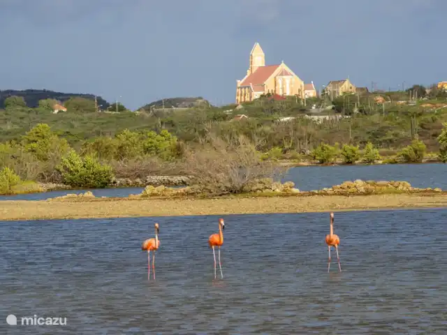 Villa Happy View huren in Curaçao, Banda Abou (west), Coral Estate, Rif St.Marie - villa Kerk van Willibrordus
