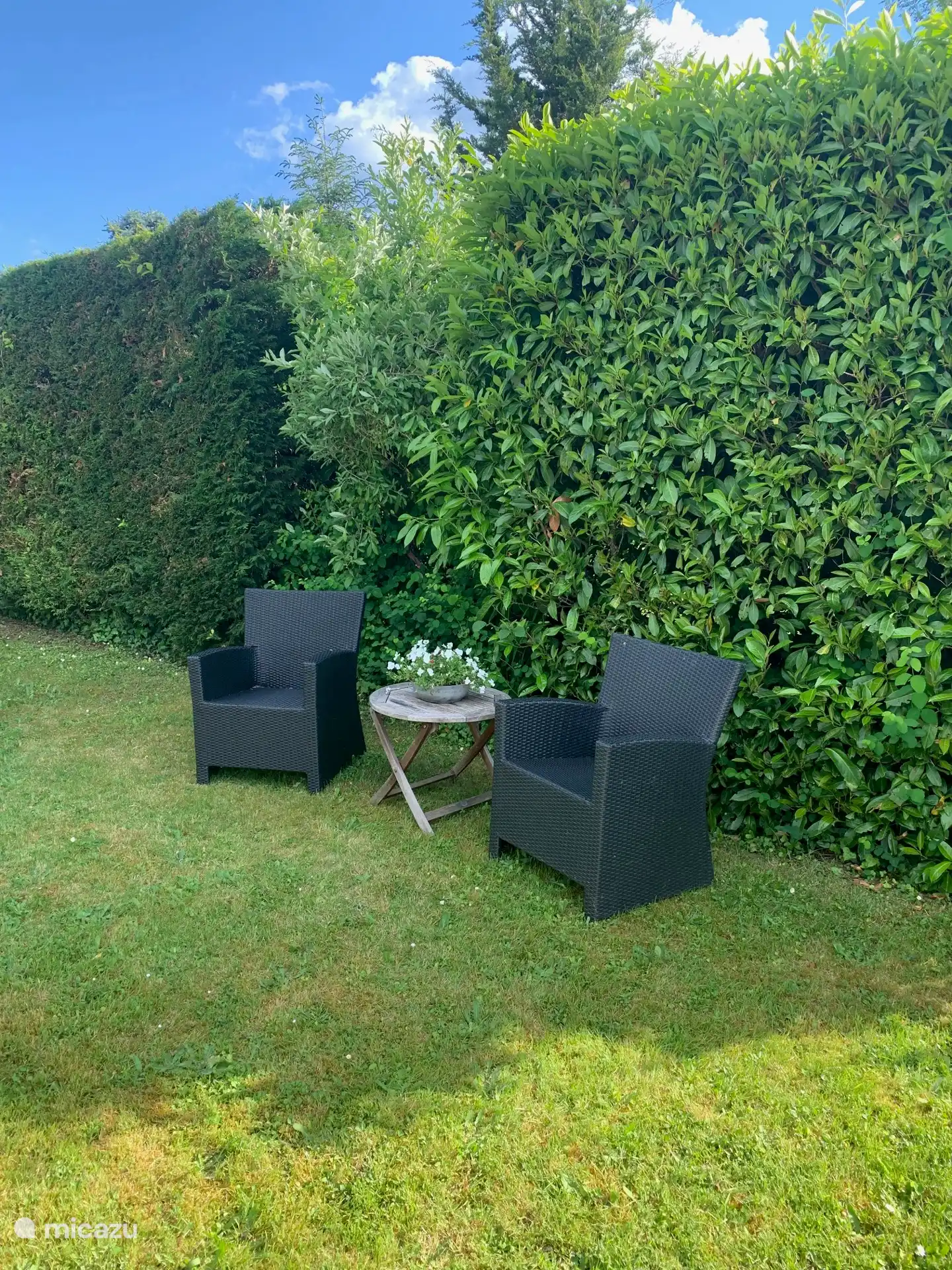 schaduwzijde van de tuin