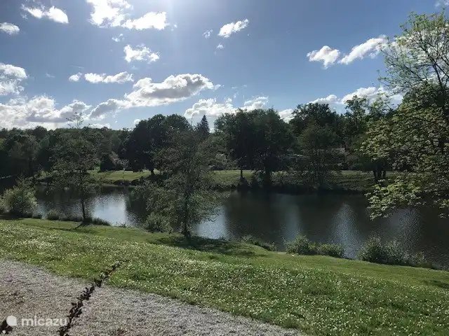 zwem- vismeer op het park