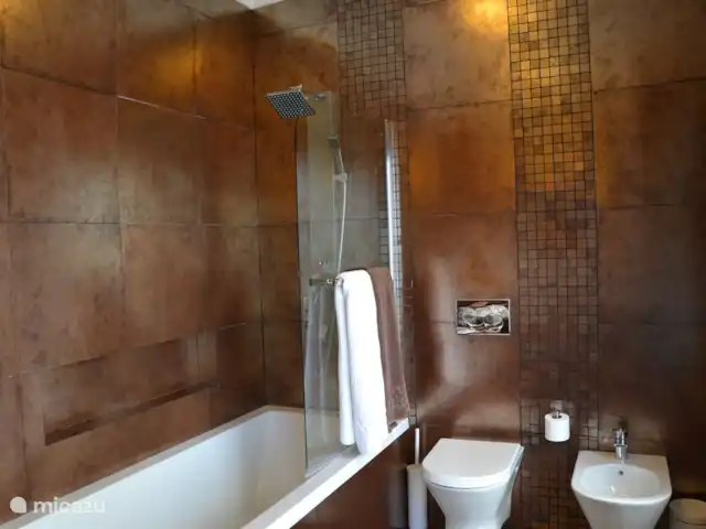 Villa Mauricio huren in Portugal, Setúbal, Grandola - villa Badkamer