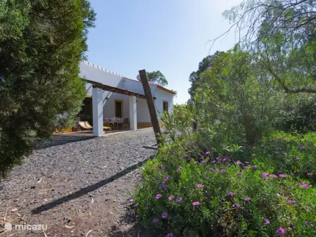 vakantiehuis in Portugal, Setúbal, Cercal do Alentejo – Casa Cercal Casa Cercal