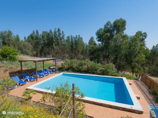 vakantiehuis in Portugal, Setúbal, Cercal do Alentejo – Casa Cercal Zwembad