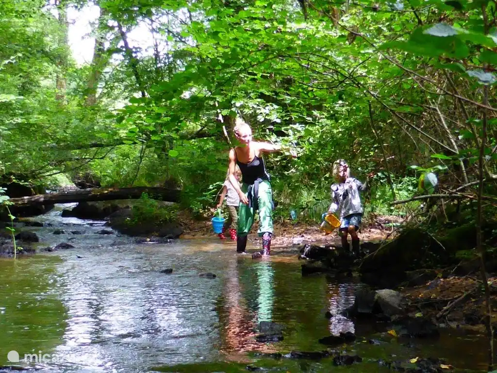 Wasserspaß im Fluss