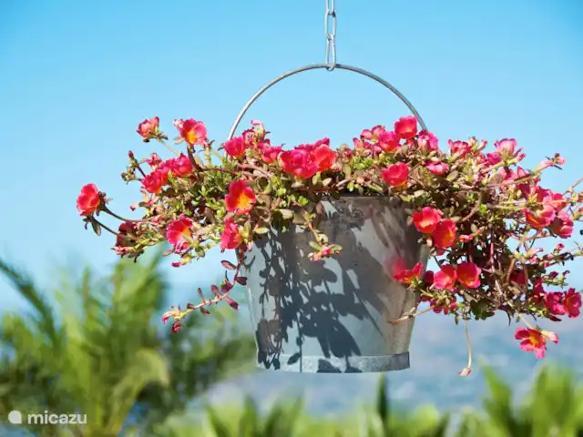 Villa El Pajarero | Espagne, Andalousie, Arenas - appartement soleil espagnol