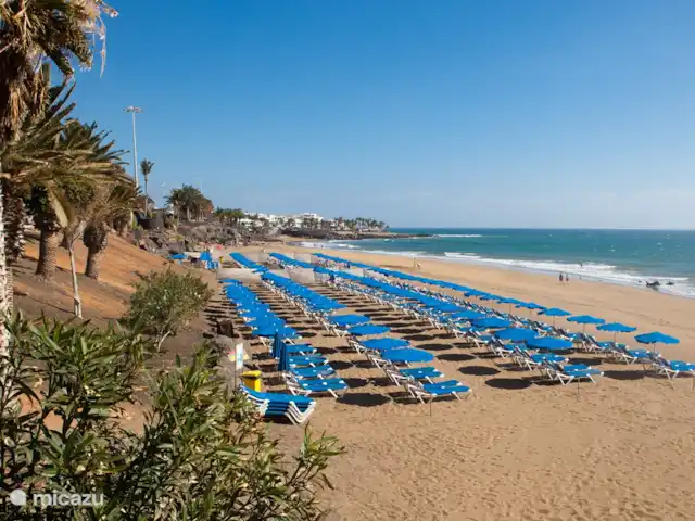 Location de Vacances Espagne, Lanzarote, Puerto del Carmen, appartement - Perla de Playa Grande Plage avec transats à 100 m à pied