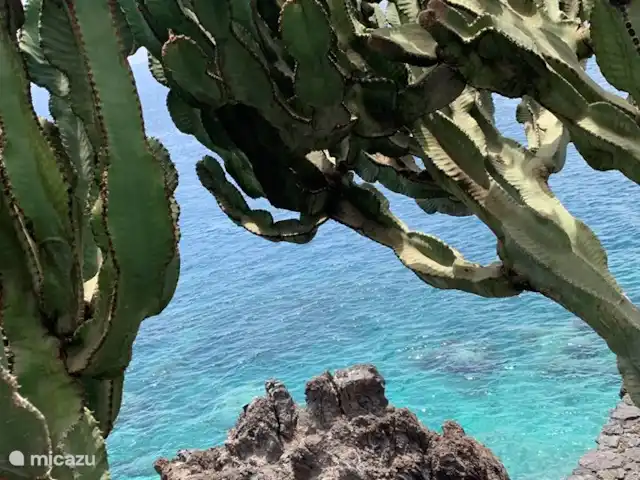 Location de Vacances Espagne, Lanzarote, Puerto del Carmen, appartement - Perla de Playa Grande