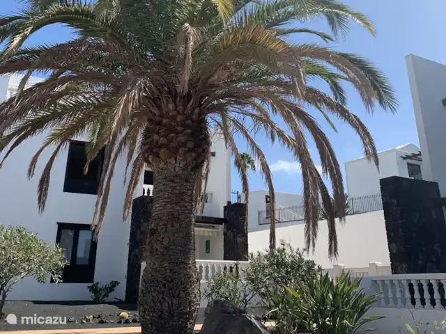 Location de Vacances Espagne, Lanzarote, Puerto del Carmen, appartement - Perla de Playa Grande jardin commun