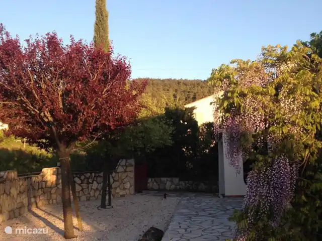 Villa La Petite Minervoise | France, Hérault, Oupia - villa