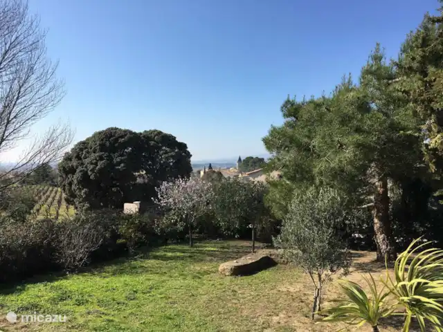 Villa La Petite Minervoise | France, Hérault, Oupia - villa