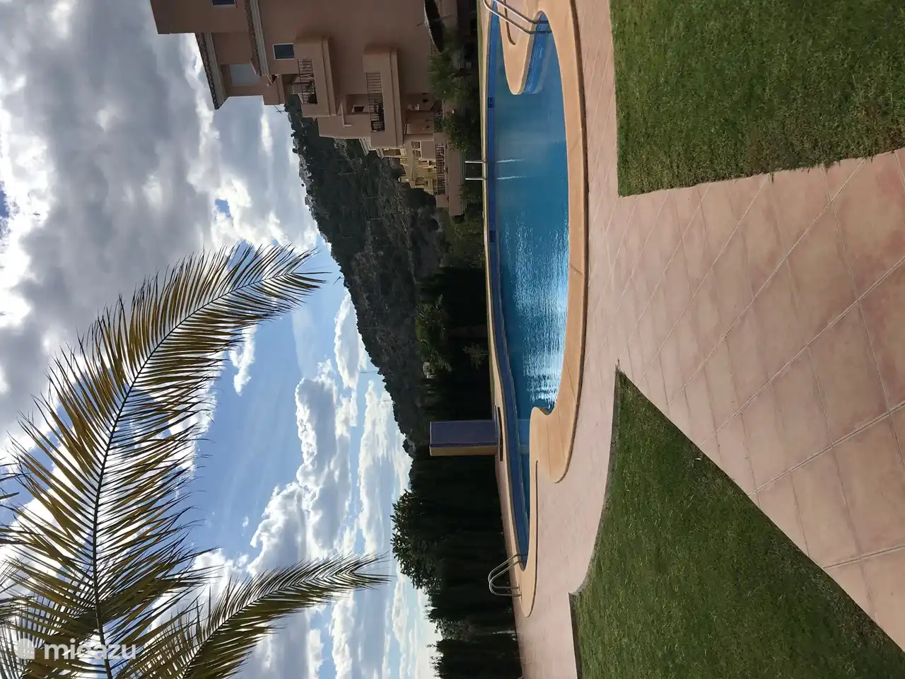 Enjoying under the palm tree.