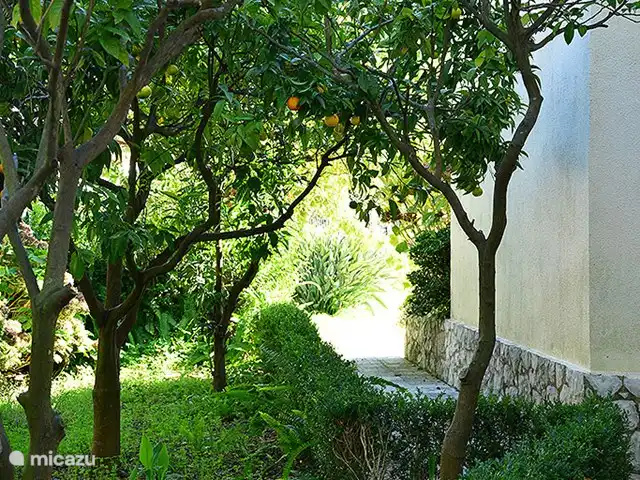 Villa Isabella huren in Portugal, Lissabon Kust, Setúbal - villa Tuin