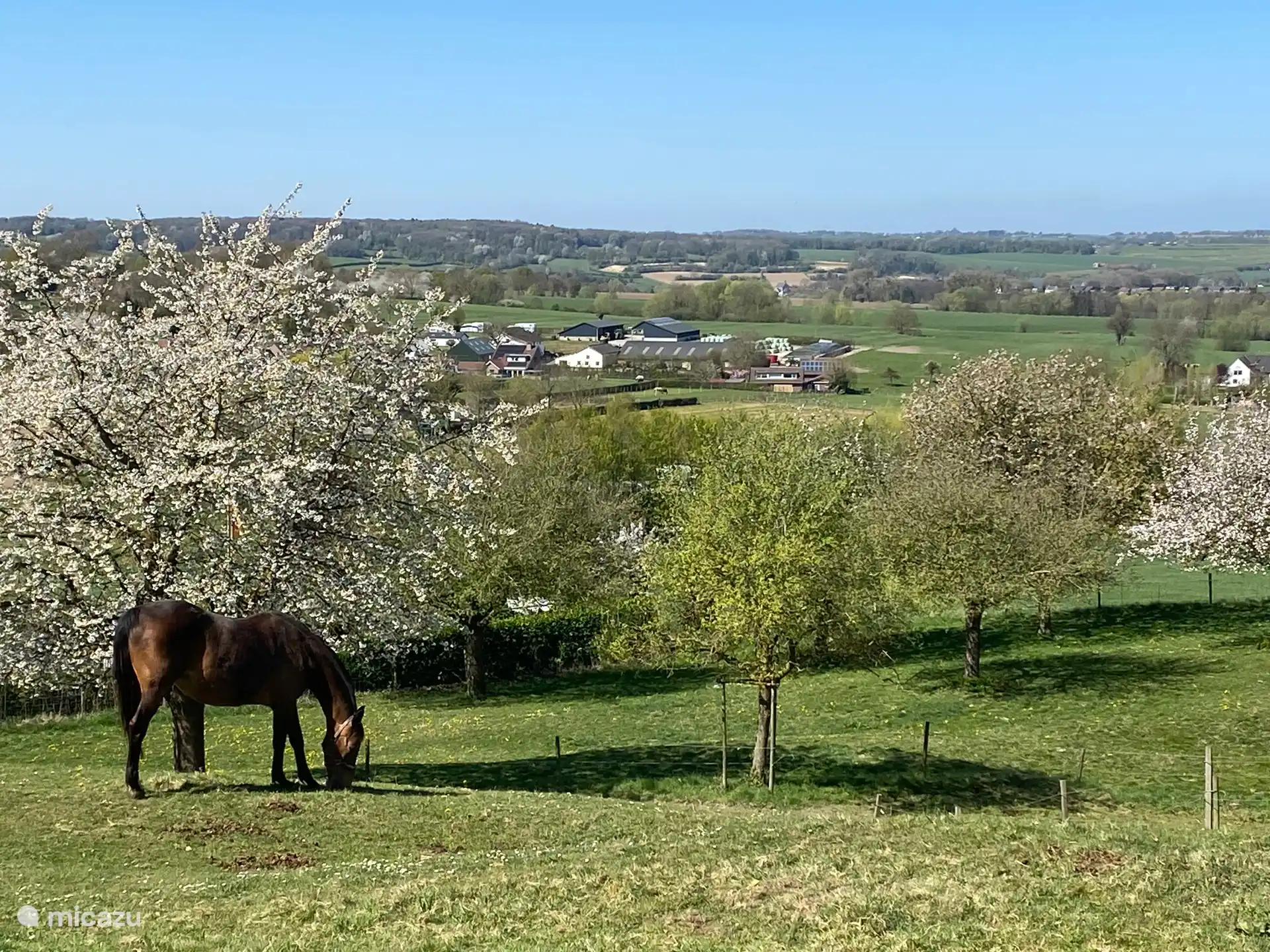 Vlak bij Vijlen, hoogstgelegen dorpje van Nederland, voorjaar