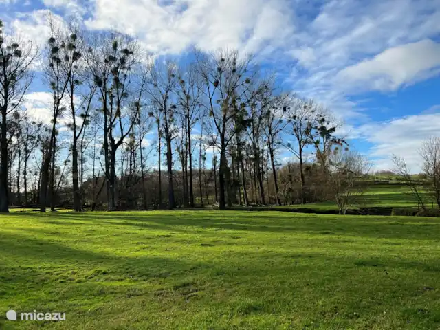 Haut Limbourg | Pays-Bas, Limbourg, Simpelveld - bungalow Grands arbres avec des gui - Promenade dans le Gully depuis le café-restaurant Smidse à Epen..