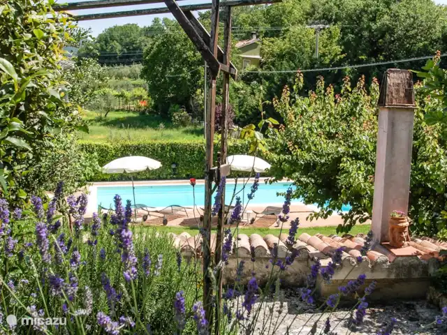 Todi, maison avec piscine privée | Italie, Ombrie, Acquasparta - villa