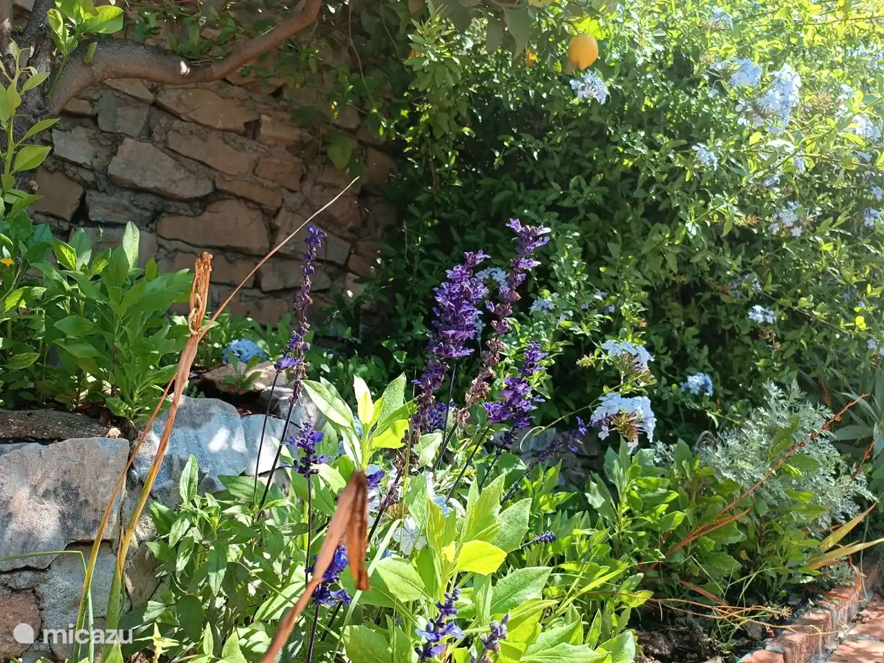 Ein blumiger Garten umgibt das Haus.