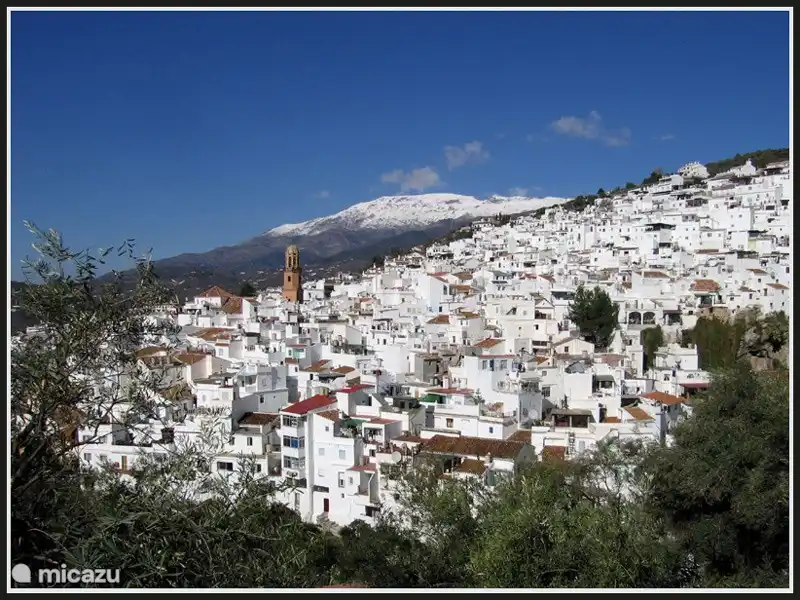 Competa ist eine gemütliche Stadt mit ca. 3000 Einwohnern, in der Sie alle Geschäfte (Supermarkt, Bäckerei, Kleidung, Eisenwaren, etc...) finden