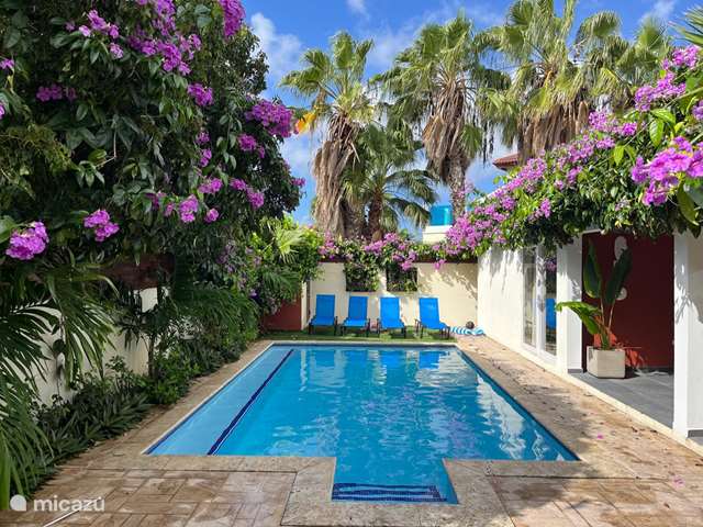 Windsurf, Aruba, Norte, Salina Cerca, villa TOP Villa, piscina y 1 km de la playa