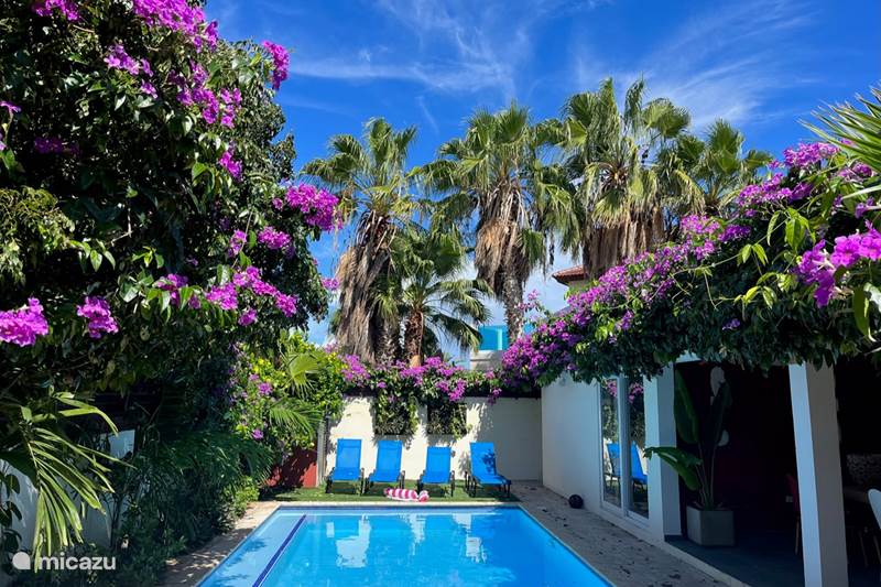 Holiday home Aruba, Noord, Salina Cerca Villa TOP Villa, swimming pool and 1km from the beach