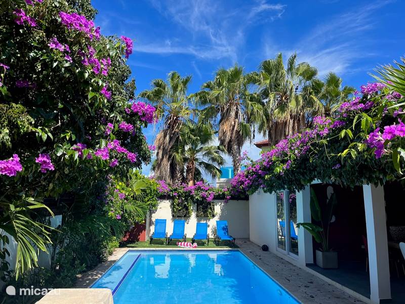 Vakantiehuis Aruba, Noord, Salina Cerca Villa TOP Villa, zwembad en 1km van strand