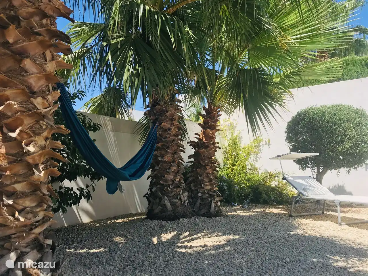 Hängematte unter den Palmen