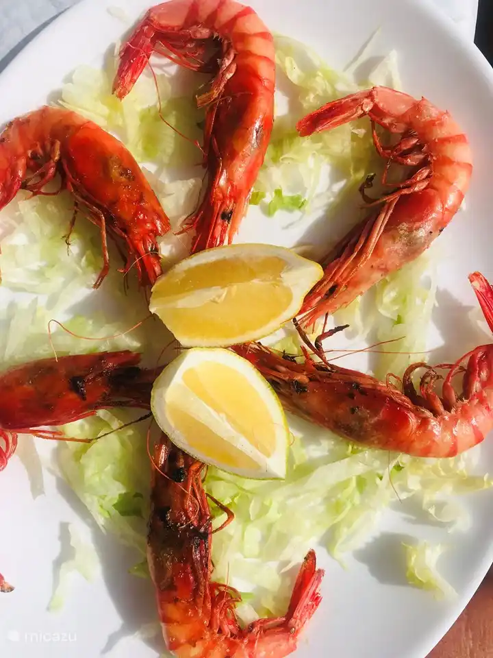 Frische rote Garnelen