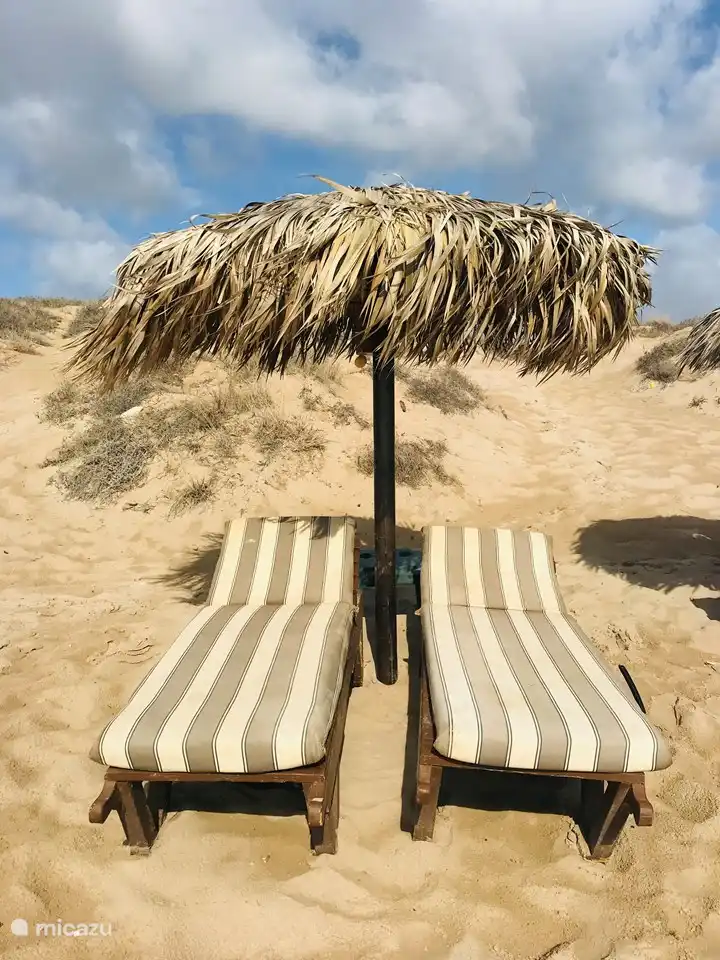 Sonnenliegen zu vermieten am Strand von la Marina