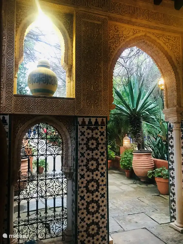 Teegarten Crevillente